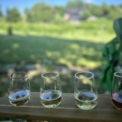 bear river vineyards - Wine tasting