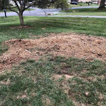 Mills Tree Service - Tree gone. Stump and exposed roots ground down. - Tree Services Near Me - Rixeyville, Virginia Mills Tree Service - Tree gone. Stump and exposed roots ground down. - Tree Services Near Me - Rixeyville, Virginia