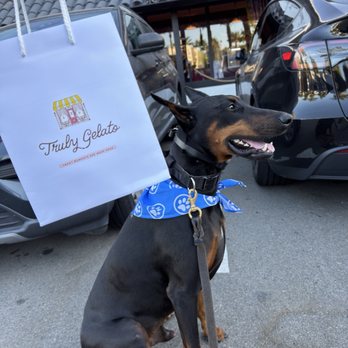 Truly Gelato - Front of the store and the to go bag - Gelato Near Me - Dana Point, California Truly Gelato - Front of the store and the to go bag - Gelato Near Me - Dana Point, California