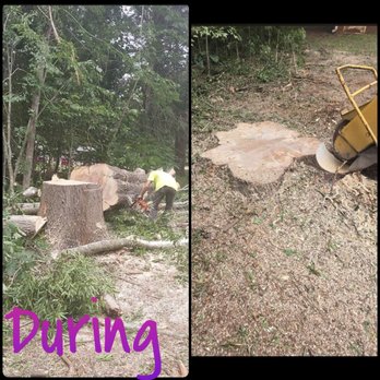 Stump Away Landscaping - During the process. - Tree Services Near Me Stump Away Landscaping - During the process. - Tree Services Near Me