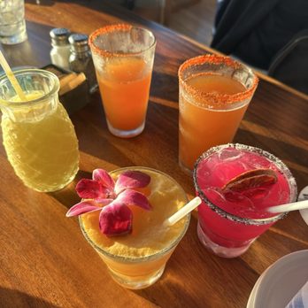 Monarch Ocean Pub - POG Mai Tai & Hibiscus Margarita - Gastropubs Near Me - Del Mar, California Monarch Ocean Pub - POG Mai Tai & Hibiscus Margarita - Gastropubs Near Me - Del Mar, California