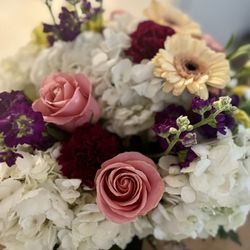 Amazing Flowers