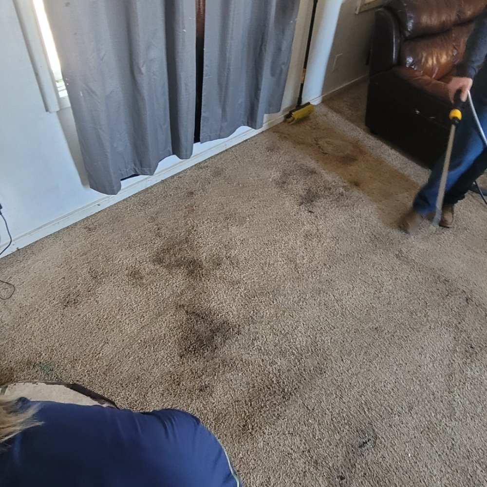 SPIT SHINE Updated May 2024 Request a Quote 16 Photos Moscow