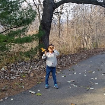 The Cafe at Wave Hill - Family Nature Walk. - Venues & Event Spaces Near Me - Bronx, New York The Cafe at Wave Hill - Family Nature Walk. - Venues & Event Spaces Near Me - Bronx, New York