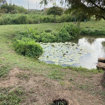 Wetlands Park at Riverstone - Parks Near Me - TX, Texas Wetlands Park at Riverstone - Parks Near Me - TX, Texas