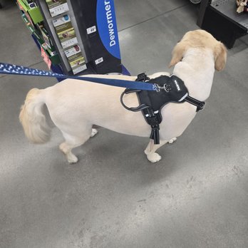 Petco - Pet Stores Near Me - Las Vegas, Nevada Petco - Pet Stores Near Me - Las Vegas, Nevada