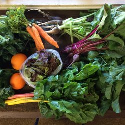 Tempe CSA - A March 2017 Classic Share