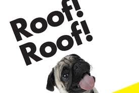 Slide of Auer Roofing