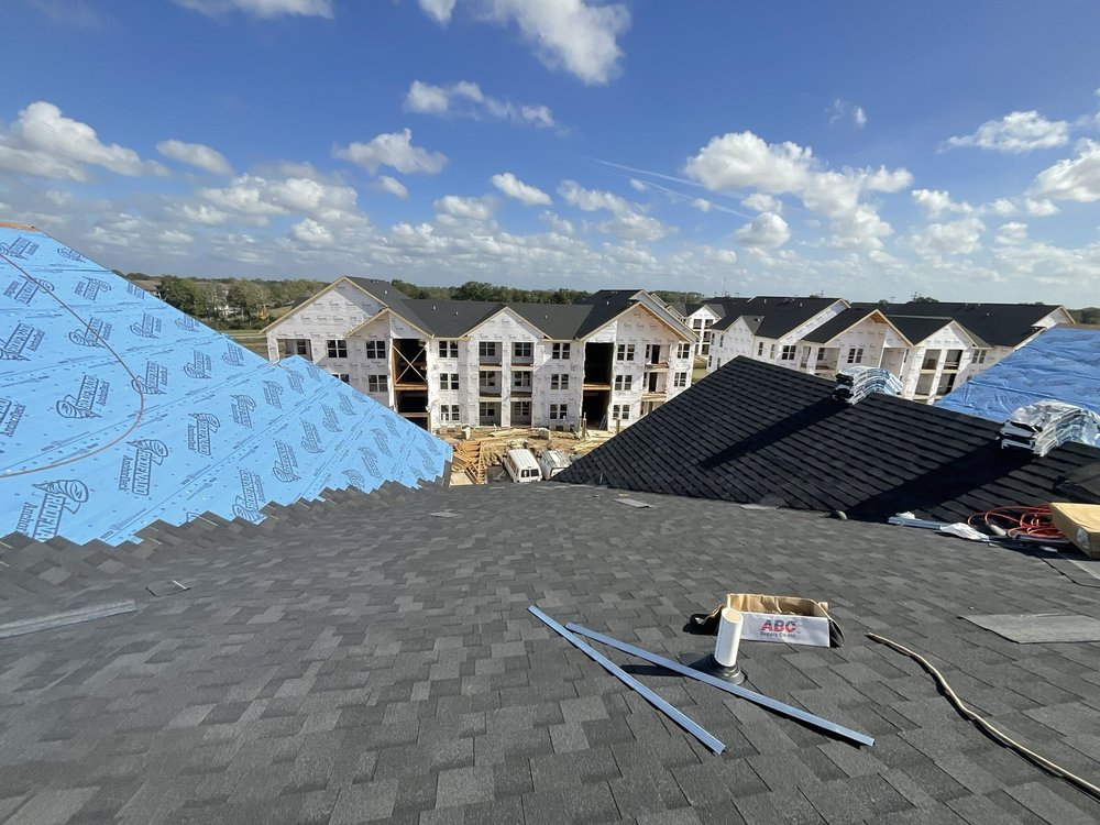 Slide of Paws and Build Construction