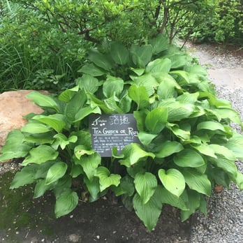 Parks On Tap - Shofuso popup: Japanese garden - Beer Gardens Near Me - Philadelphia, Pennsylvania