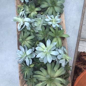 Abide A While Garden Boutique - Wall hanging - Nurseries & Gardening Near Me - Mount Pleasant, South Carolina