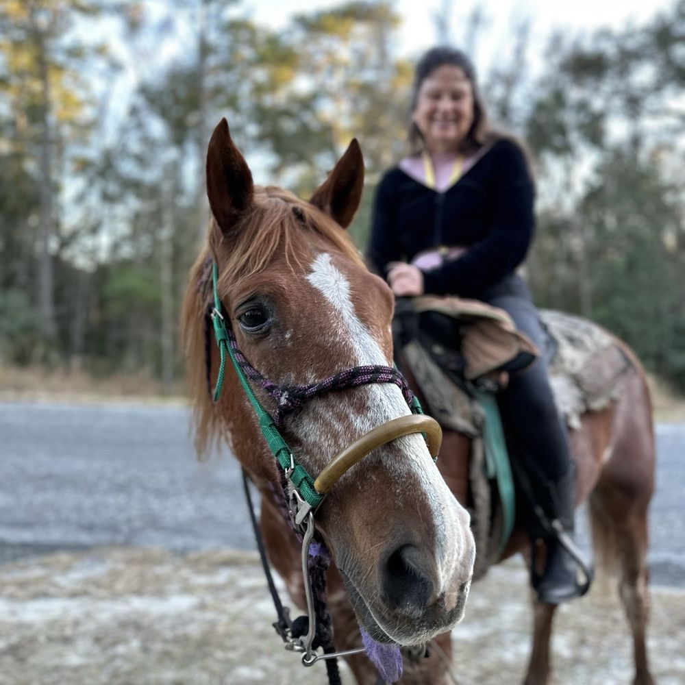 Makin' Tracks Trail Rides - This mustang likes to go FAST! - Horseback Riding Near Me - Fort McCoy, Florida
