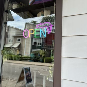 affoGATO Cat Café - Themed Cafes Near Me - Cleveland, Ohio