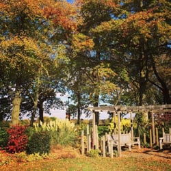 Rowheath Pavilion - Josie's Garden