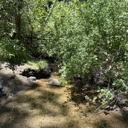 Davis Creek Regional Park - Davis Creek