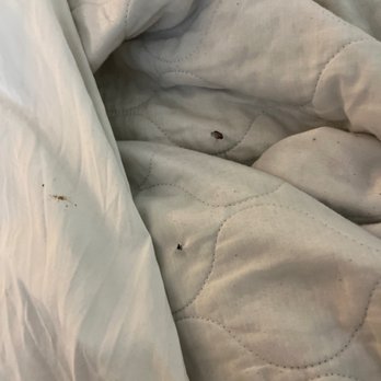 O'Hare Inn and Suites - The blankets and sheets are old and burnt from people's cigarettes.. - Hotels Near Me - Schiller Park, Illinois