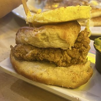 Werewolf - Chicken inna biscuit - Breakfast & Brunch Near Me - San Diego, California Werewolf - Chicken inna biscuit - Breakfast & Brunch Near Me - San Diego, California