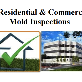 Mold Inspection & Testing San Antonio - mold Inspector San Antonio - Home Inspectors Near Me - San Antonio, Texas Mold Inspection & Testing San Antonio - mold Inspector San Antonio - Home Inspectors Near Me - San Antonio, Texas