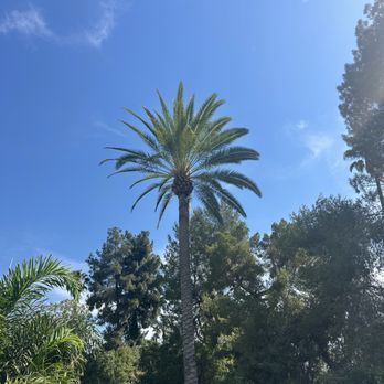 JF Gonzalez Landscape Maintenance - Tree Services Near Me - Canoga Park , California