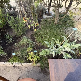 ALTA Bakery & Cafe - Cafes Near Me - Monterey, California