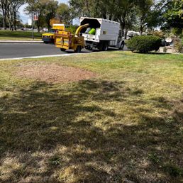 Stump gone and the yard clean