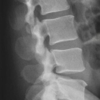 Adam C Sands, DC - Chiropractors Near Me - Los Angeles, California