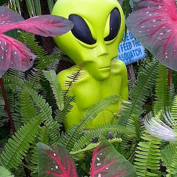Camp Mars - Campgrounds Near Me - Venus, Florida