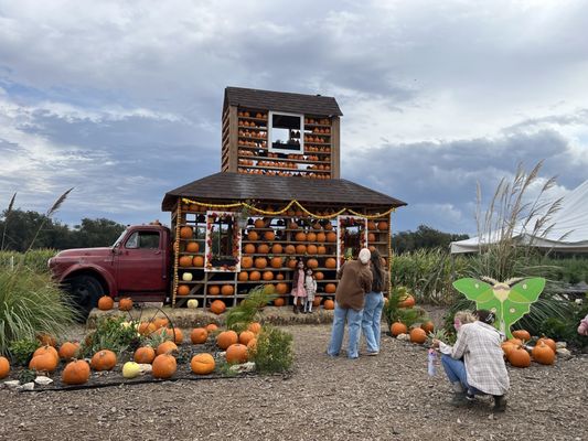 Sweet Eats Adventure Farm & Petting Zoo by null