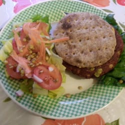 NutriVerde - Hamburguesa Vegetariana Deliciosa!