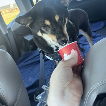 Tim Hortons - Pup cup! - Coffee & Tea Near Me - Lebanon, Tennessee Tim Hortons - Pup cup! - Coffee & Tea Near Me - Lebanon, Tennessee