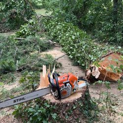 Wood Warriors Tree Services
