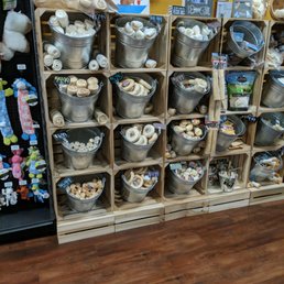 Assortment of dog bones