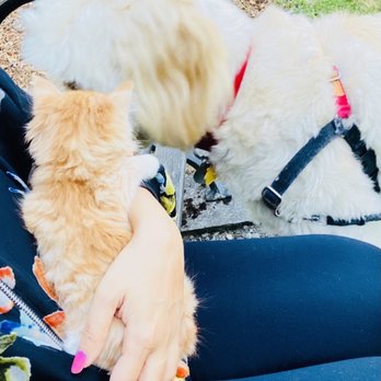 Manson Bay Park - Family outting x baci & latte! - Parks Near Me - Manson, Washington Manson Bay Park - Family outting x baci & latte! - Parks Near Me - Manson, Washington
