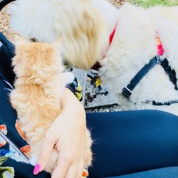 Manson Bay Park - Family outting x baci & latte!