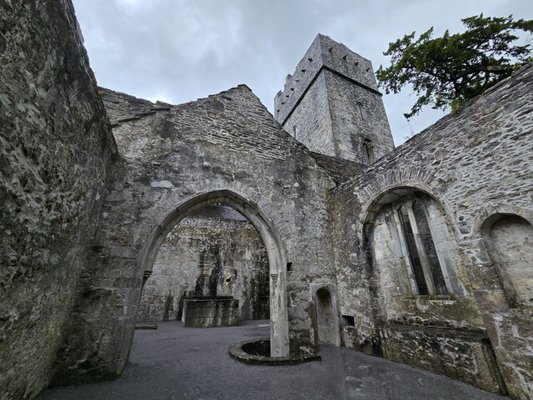 Muckross Abbey by null