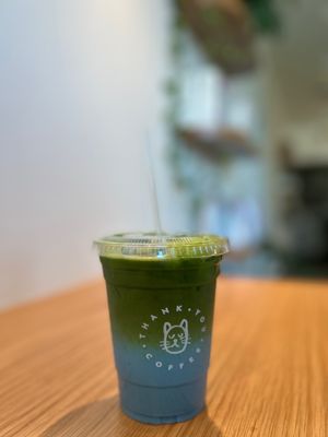 Thank You Coffee Anaheim by null