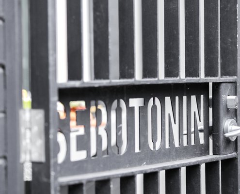 Serotonin Eatery by null