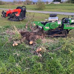 JT's Stump Grinding - Our machines can tackles all types of stumps