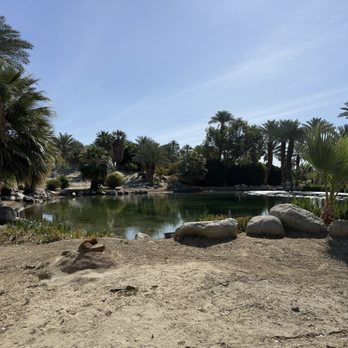 Shields Date Garden - Fruits & Veggies Near Me - Indio, California Shields Date Garden - Fruits & Veggies Near Me - Indio, California