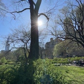 Central Park Conservancy - Central Park - Parks Near Me - New York, New York