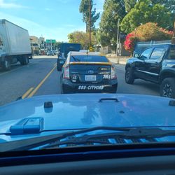 City Cab - Litter Bug