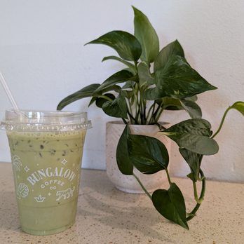 Bungalow Coffee - Matcha Oat Milk Latte. - Coffee & Tea Near Me - Las Vegas, Nevada