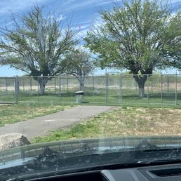 Fully-enclosed clean dog run, with poop bags & waste receptacles!