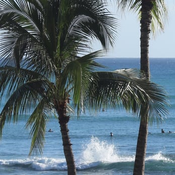 Waikiki Beach - From the Marriott pool deck - Beaches Near Me Waikiki Beach - From the Marriott pool deck - Beaches Near Me