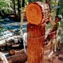 Photo of ExTREEme Tree Experts