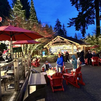Capilano Suspension Bridge Park - Cozy spot to rest - Parks Near Me - North Vancouver, British Columbia
