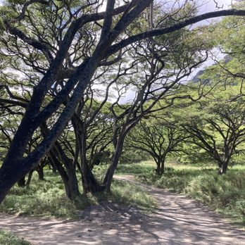 Kualoa Ranch - Tours Near Me - Kaneohe, Hawaii