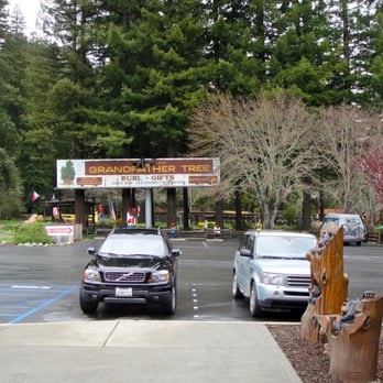 One Log House - Coffee & Tea Near Me - Garberville, California One Log House - Coffee & Tea Near Me - Garberville, California