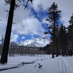 Taylor Creek Sno Park Parks 1290 Cathedral Rd South Lake