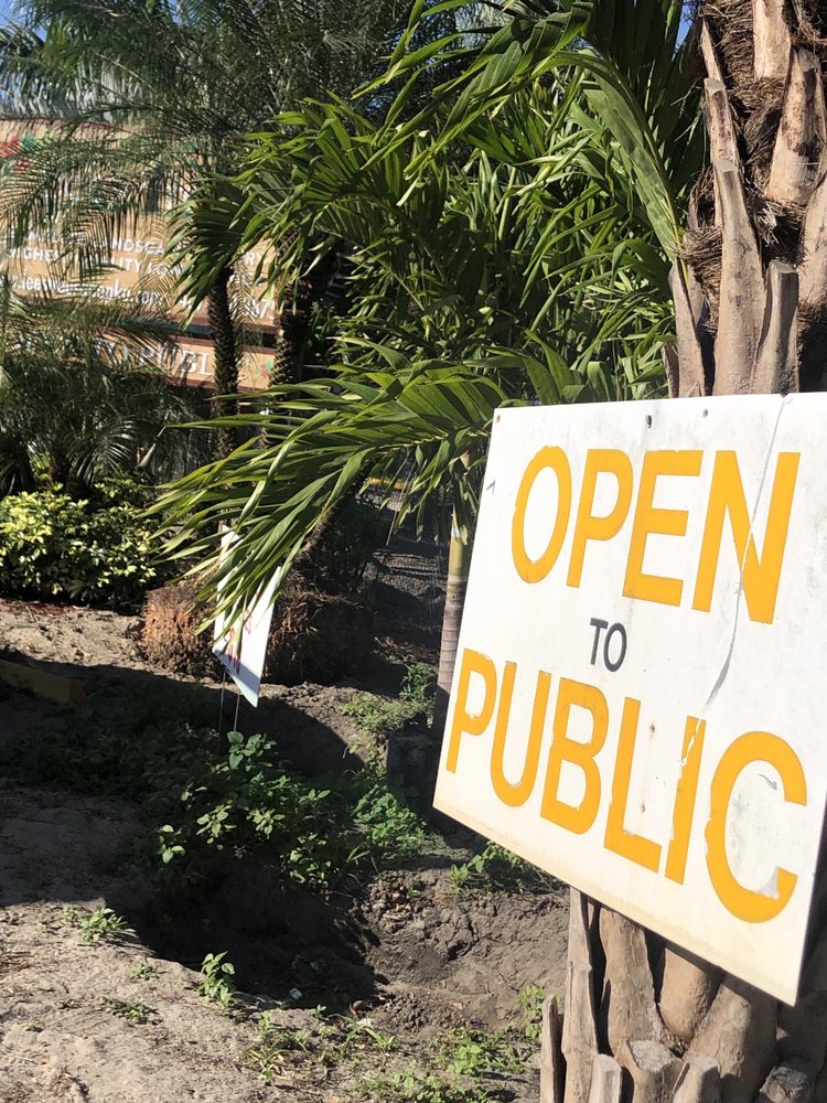 LEE’S TREES & LANDSCAPING NURSERY with reviews Updated September 2024